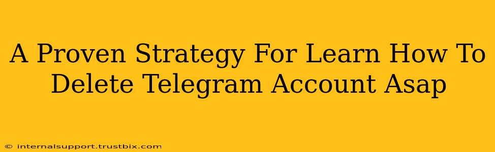 A Proven Strategy For Learn How To Delete Telegram Account Asap