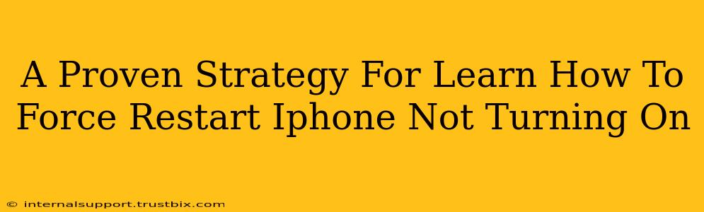 A Proven Strategy For Learn How To Force Restart Iphone Not Turning On