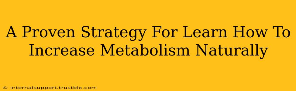 A Proven Strategy For Learn How To Increase Metabolism Naturally