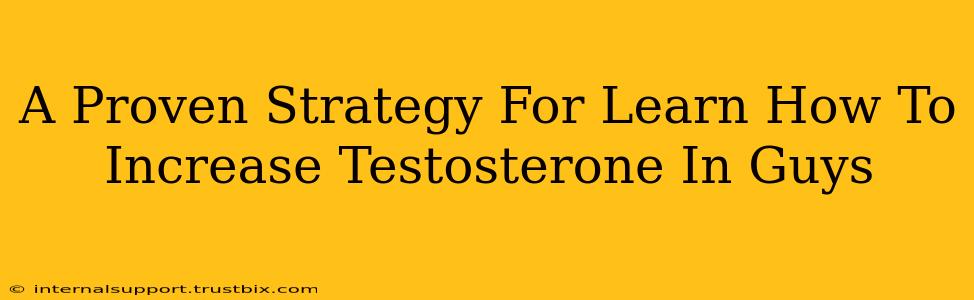 A Proven Strategy For Learn How To Increase Testosterone In Guys