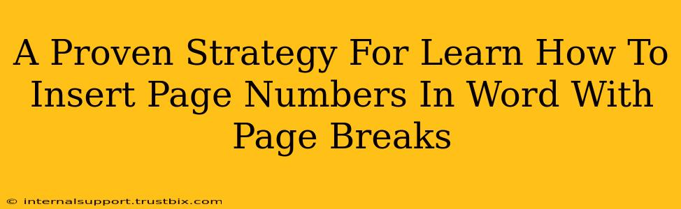 A Proven Strategy For Learn How To Insert Page Numbers In Word With Page Breaks