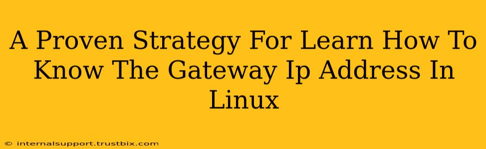 A Proven Strategy For Learn How To Know The Gateway Ip Address In Linux