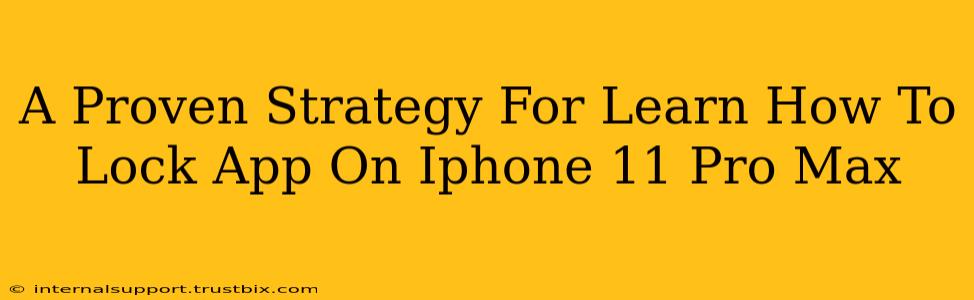 A Proven Strategy For Learn How To Lock App On Iphone 11 Pro Max