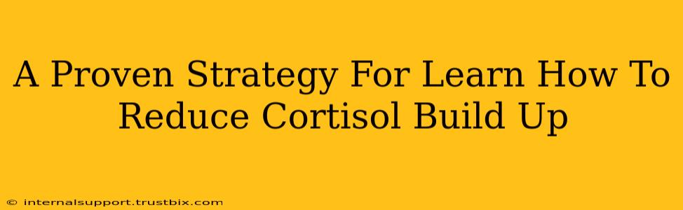 A Proven Strategy For Learn How To Reduce Cortisol Build Up