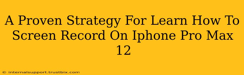 A Proven Strategy For Learn How To Screen Record On Iphone Pro Max 12