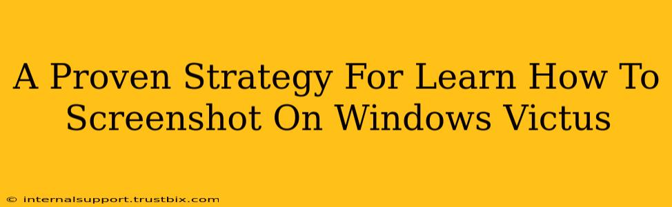 A Proven Strategy For Learn How To Screenshot On Windows Victus