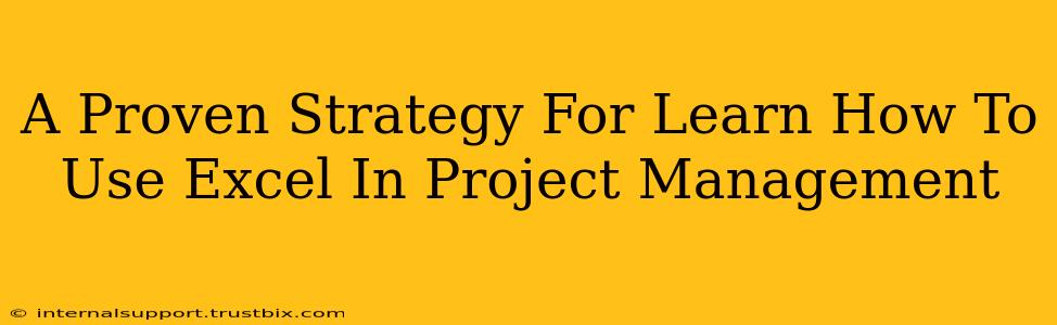 A Proven Strategy For Learn How To Use Excel In Project Management