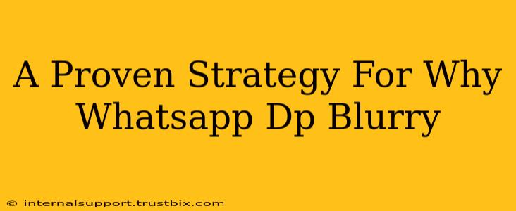 A Proven Strategy For Why Whatsapp Dp Blurry