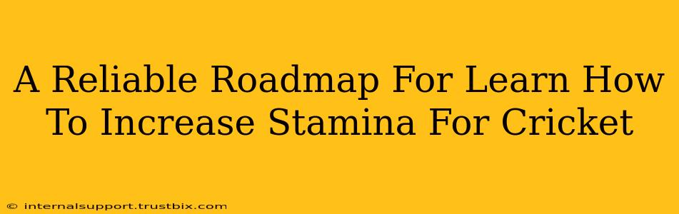 A Reliable Roadmap For Learn How To Increase Stamina For Cricket