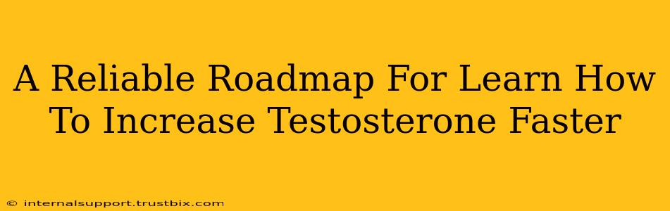 A Reliable Roadmap For Learn How To Increase Testosterone Faster