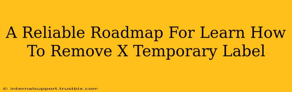 A Reliable Roadmap For Learn How To Remove X Temporary Label