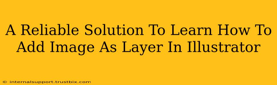 A Reliable Solution To Learn How To Add Image As Layer In Illustrator