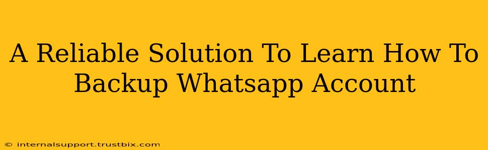 A Reliable Solution To Learn How To Backup Whatsapp Account