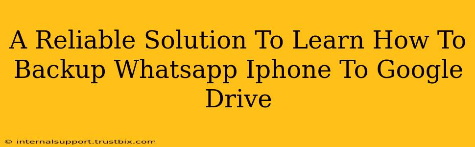 A Reliable Solution To Learn How To Backup Whatsapp Iphone To Google Drive