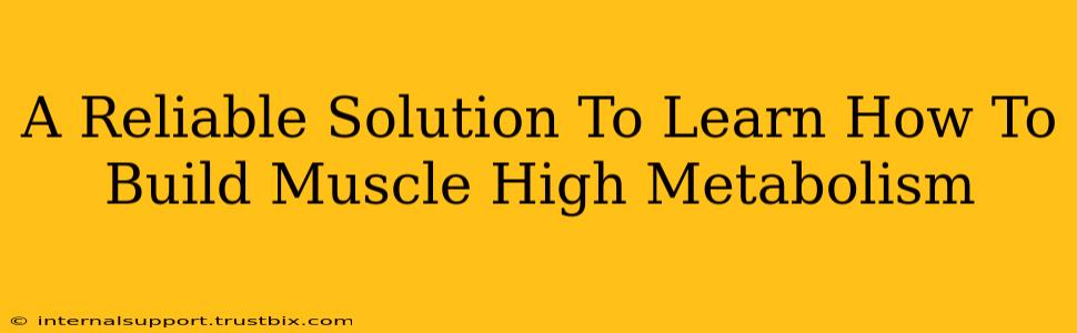 A Reliable Solution To Learn How To Build Muscle High Metabolism