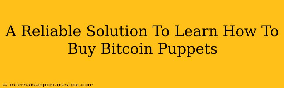 A Reliable Solution To Learn How To Buy Bitcoin Puppets