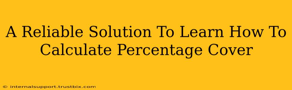 A Reliable Solution To Learn How To Calculate Percentage Cover