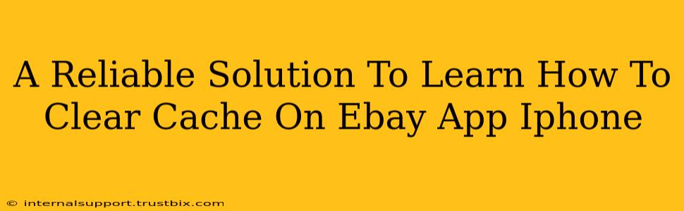 A Reliable Solution To Learn How To Clear Cache On Ebay App Iphone