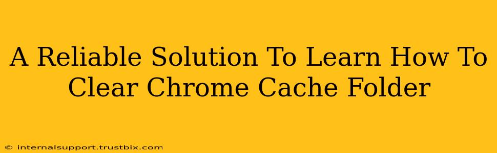 A Reliable Solution To Learn How To Clear Chrome Cache Folder