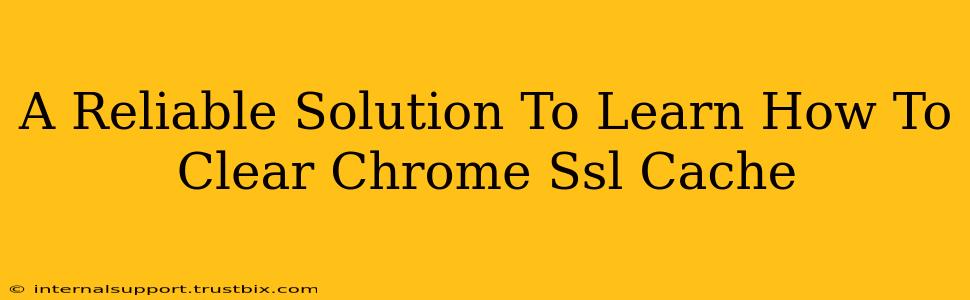 A Reliable Solution To Learn How To Clear Chrome Ssl Cache