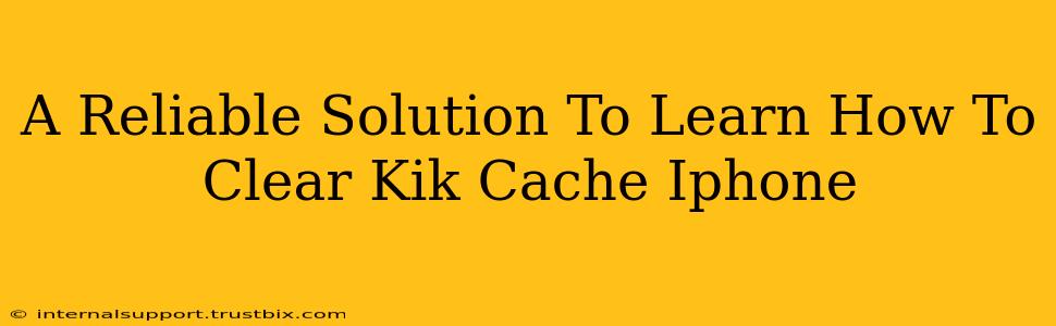 A Reliable Solution To Learn How To Clear Kik Cache Iphone