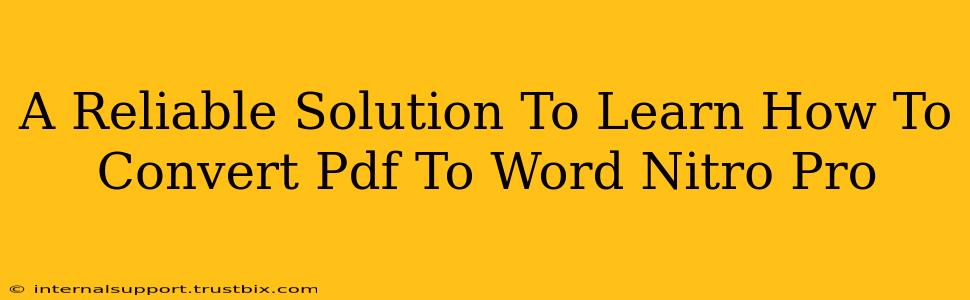 A Reliable Solution To Learn How To Convert Pdf To Word Nitro Pro