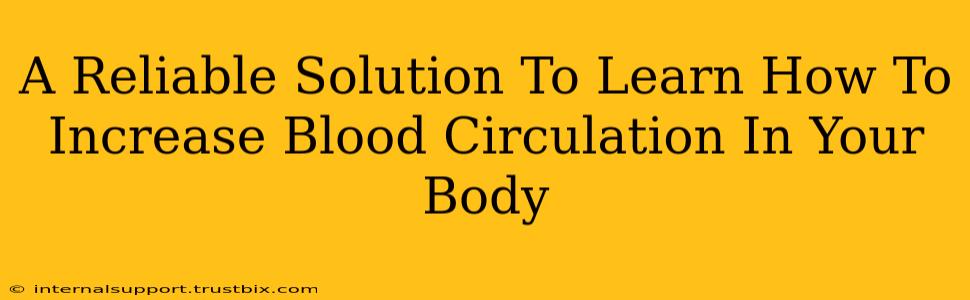 A Reliable Solution To Learn How To Increase Blood Circulation In Your Body