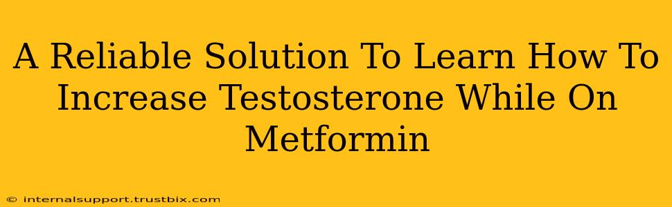 A Reliable Solution To Learn How To Increase Testosterone While On Metformin