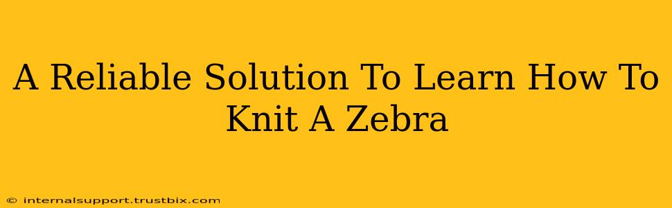 A Reliable Solution To Learn How To Knit A Zebra