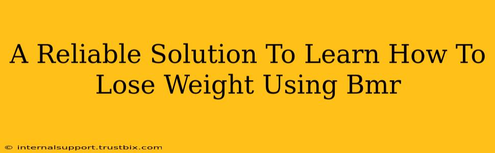 A Reliable Solution To Learn How To Lose Weight Using Bmr