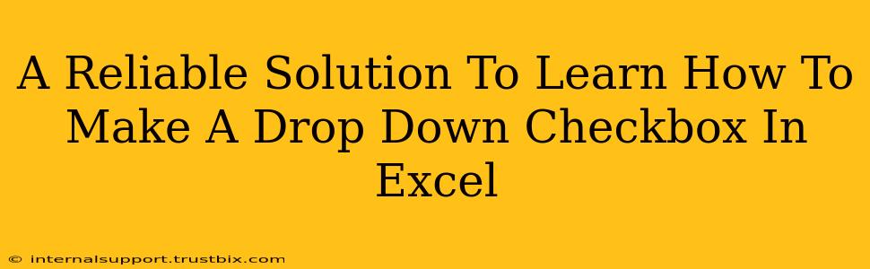 A Reliable Solution To Learn How To Make A Drop Down Checkbox In Excel