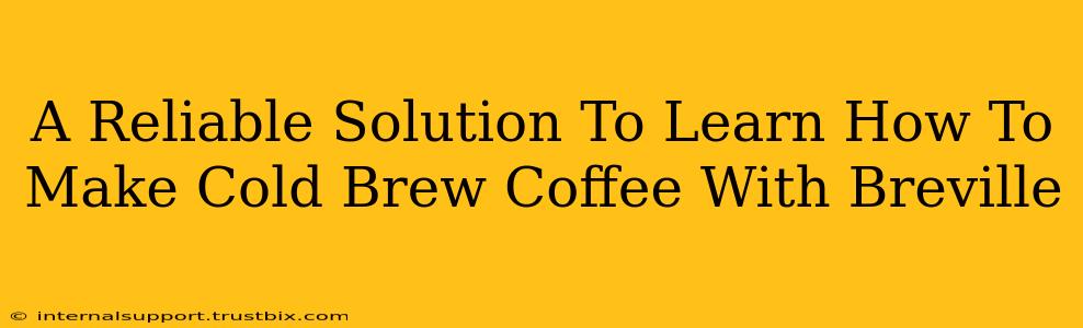 A Reliable Solution To Learn How To Make Cold Brew Coffee With Breville