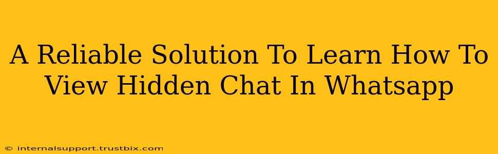 A Reliable Solution To Learn How To View Hidden Chat In Whatsapp