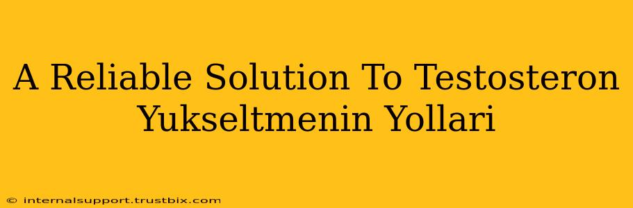 A Reliable Solution To Testosteron Yukseltmenin Yollari