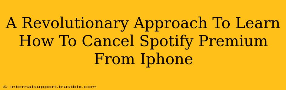 A Revolutionary Approach To Learn How To Cancel Spotify Premium From Iphone