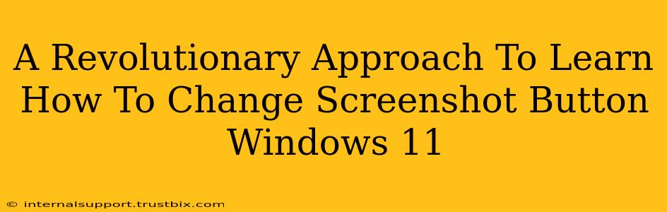 A Revolutionary Approach To Learn How To Change Screenshot Button Windows 11