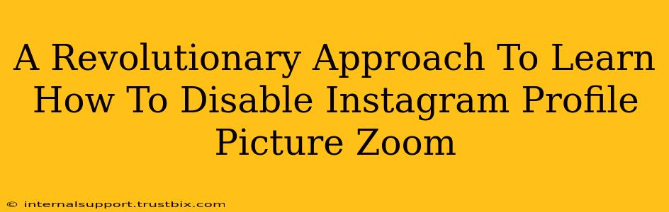 A Revolutionary Approach To Learn How To Disable Instagram Profile Picture Zoom