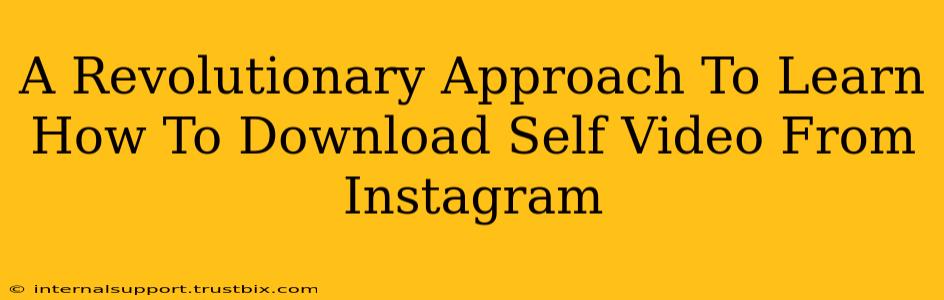 A Revolutionary Approach To Learn How To Download Self Video From Instagram