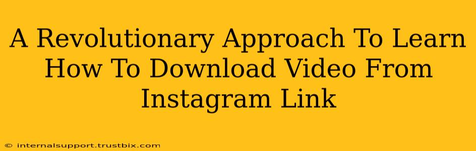 A Revolutionary Approach To Learn How To Download Video From Instagram Link