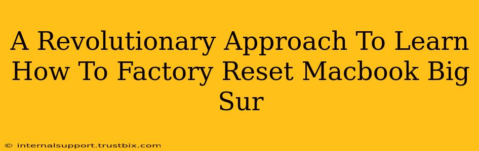 A Revolutionary Approach To Learn How To Factory Reset Macbook Big Sur