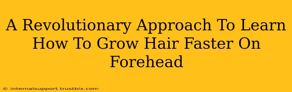 A Revolutionary Approach To Learn How To Grow Hair Faster On Forehead