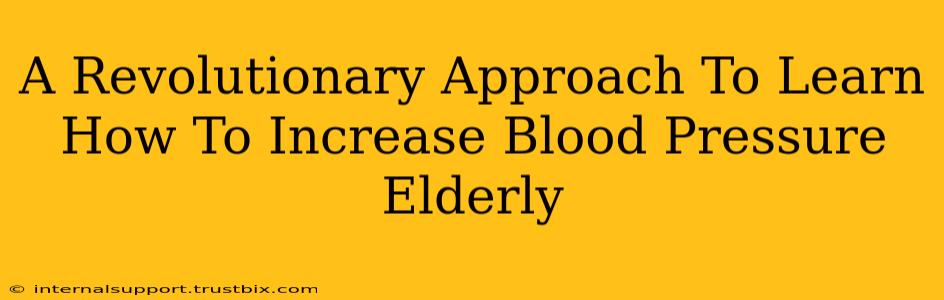 A Revolutionary Approach To Learn How To Increase Blood Pressure Elderly