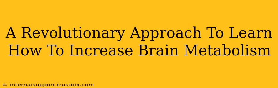 A Revolutionary Approach To Learn How To Increase Brain Metabolism