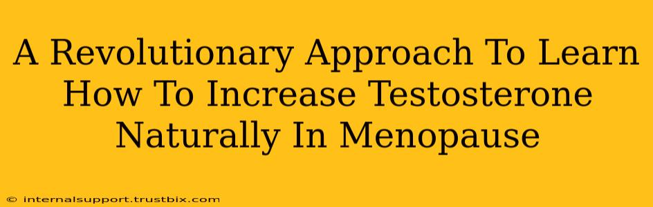 A Revolutionary Approach To Learn How To Increase Testosterone Naturally In Menopause