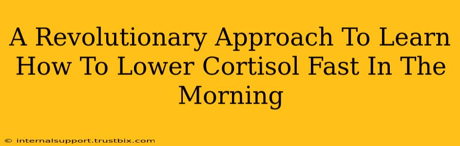 A Revolutionary Approach To Learn How To Lower Cortisol Fast In The Morning