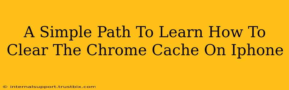 A Simple Path To Learn How To Clear The Chrome Cache On Iphone