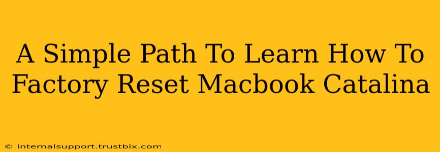 A Simple Path To Learn How To Factory Reset Macbook Catalina