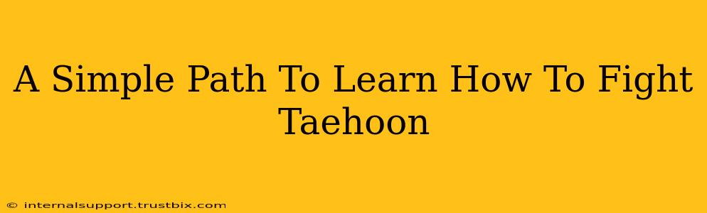 A Simple Path To Learn How To Fight Taehoon