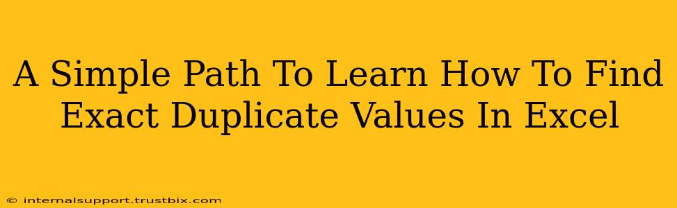 A Simple Path To Learn How To Find Exact Duplicate Values In Excel