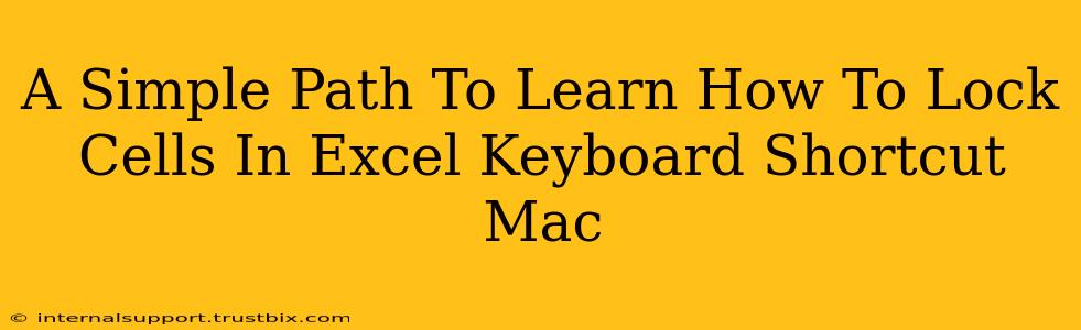 A Simple Path To Learn How To Lock Cells In Excel Keyboard Shortcut Mac